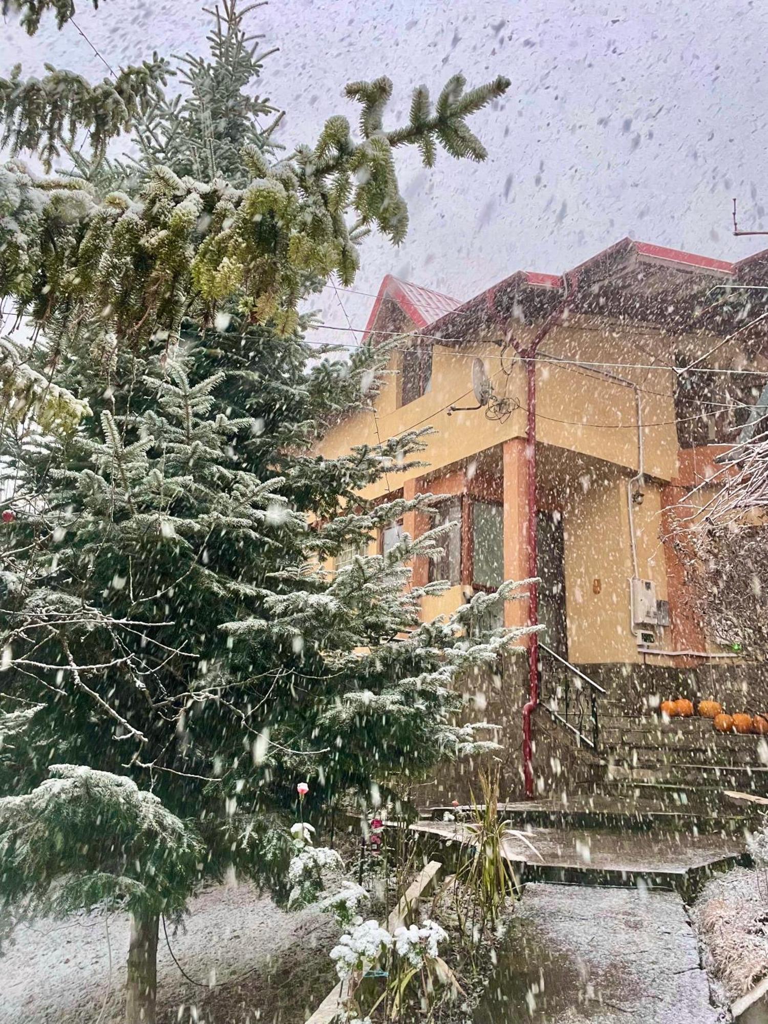Pensiunea Portas Resort Slănic 외부 사진