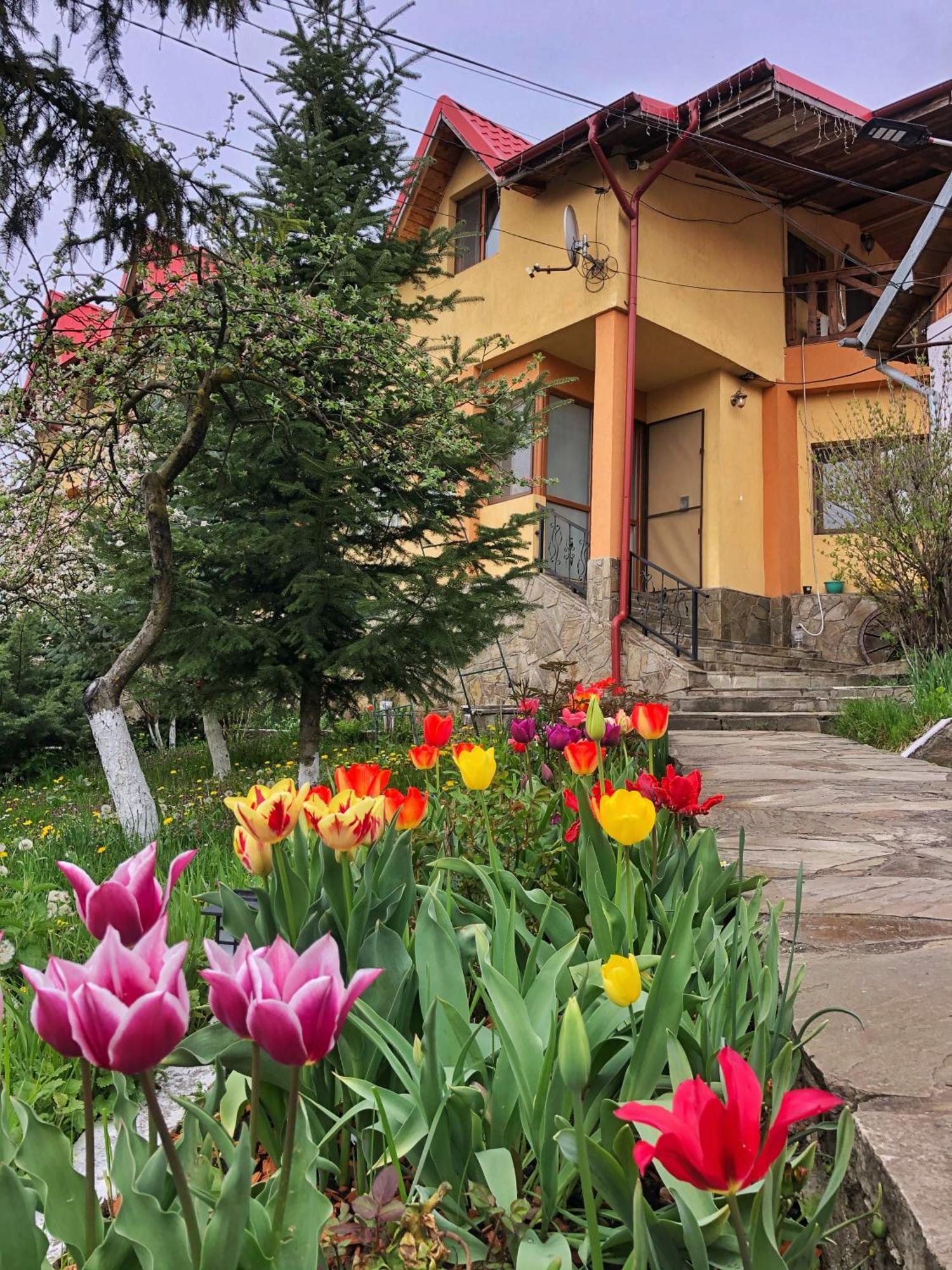 Pensiunea Portas Resort Slănic 외부 사진